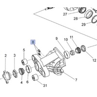 Genuine Holden & HSV Diff Differential Drain and Fill Plug for VF WN Commodore / HSV V6 V8 All