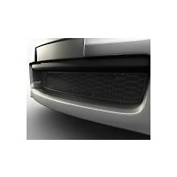 Genuine Holden Insect Screen Lower for Grille VE Series 1 SS SSV SV6 Holden