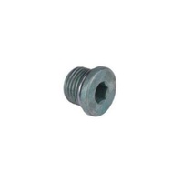 Genuine Holden Rear Axle Diff Oil Drain Plug Please Provide VIN for Fitment