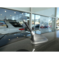 Autotecnica Antenna / Aerial Only Stubby Bee Sting for Audi TT TTS TTRS Convertable - Silver Carbon - Antenna Base NOT included