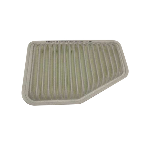 Air Filter VE VF Holden Omega Evoke Calais SS SSV SV6 Storm Thunder V6 & V8
