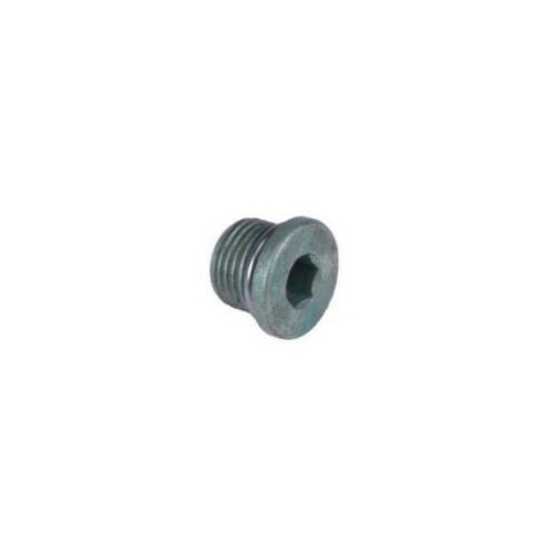 Genuine Holden Rear Axle Diff Oil Drain Plug Please Provide VIN for Fitment
