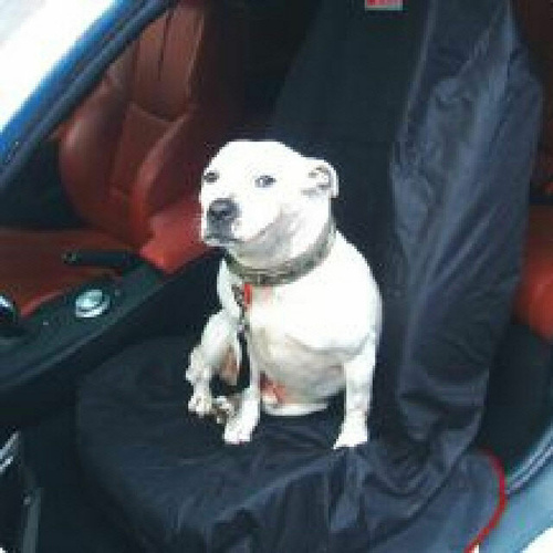 Autotecnica Front Car Seat Protection Dog / Pet Throw Over Cover with Holding Strap